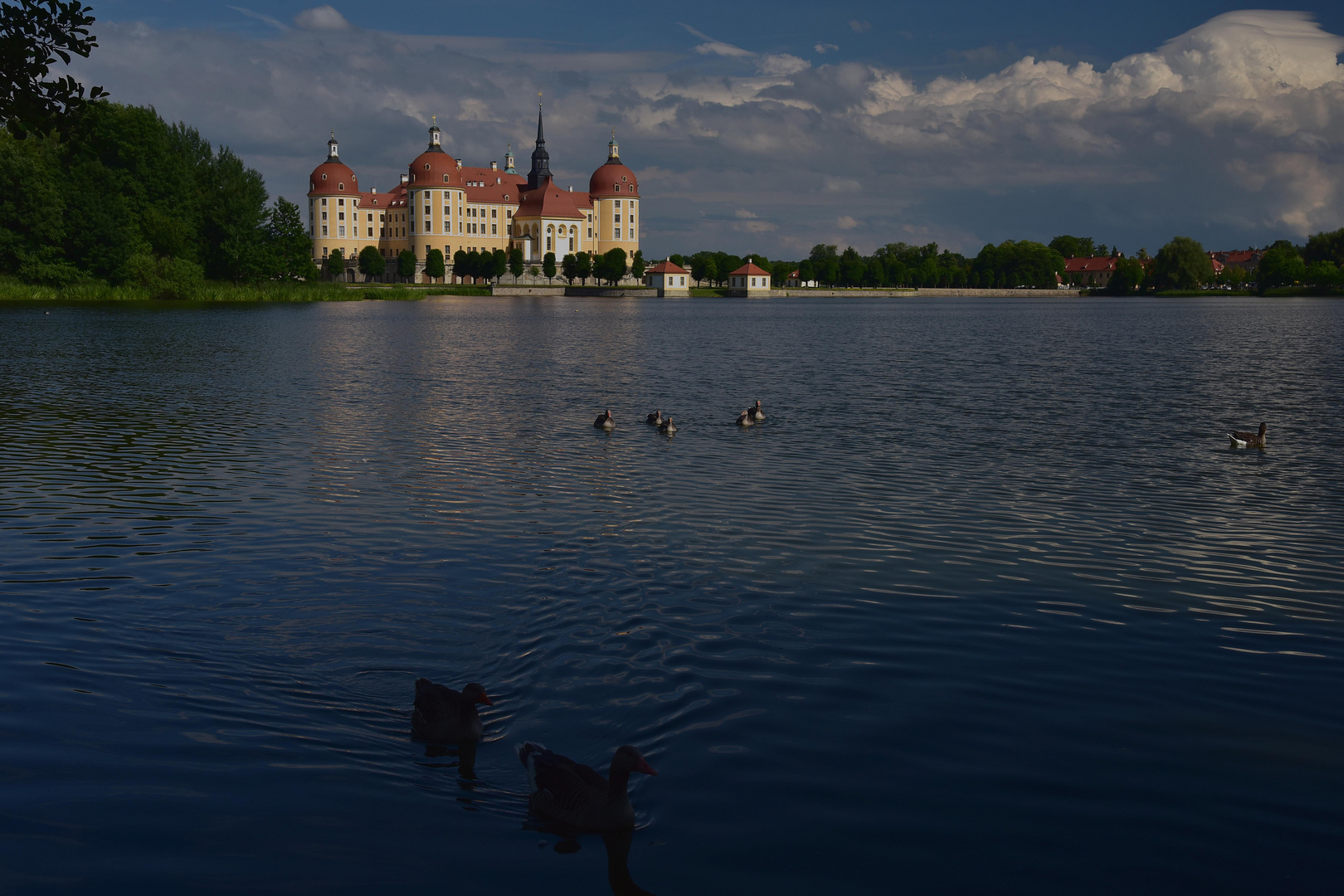 Moritzburg 