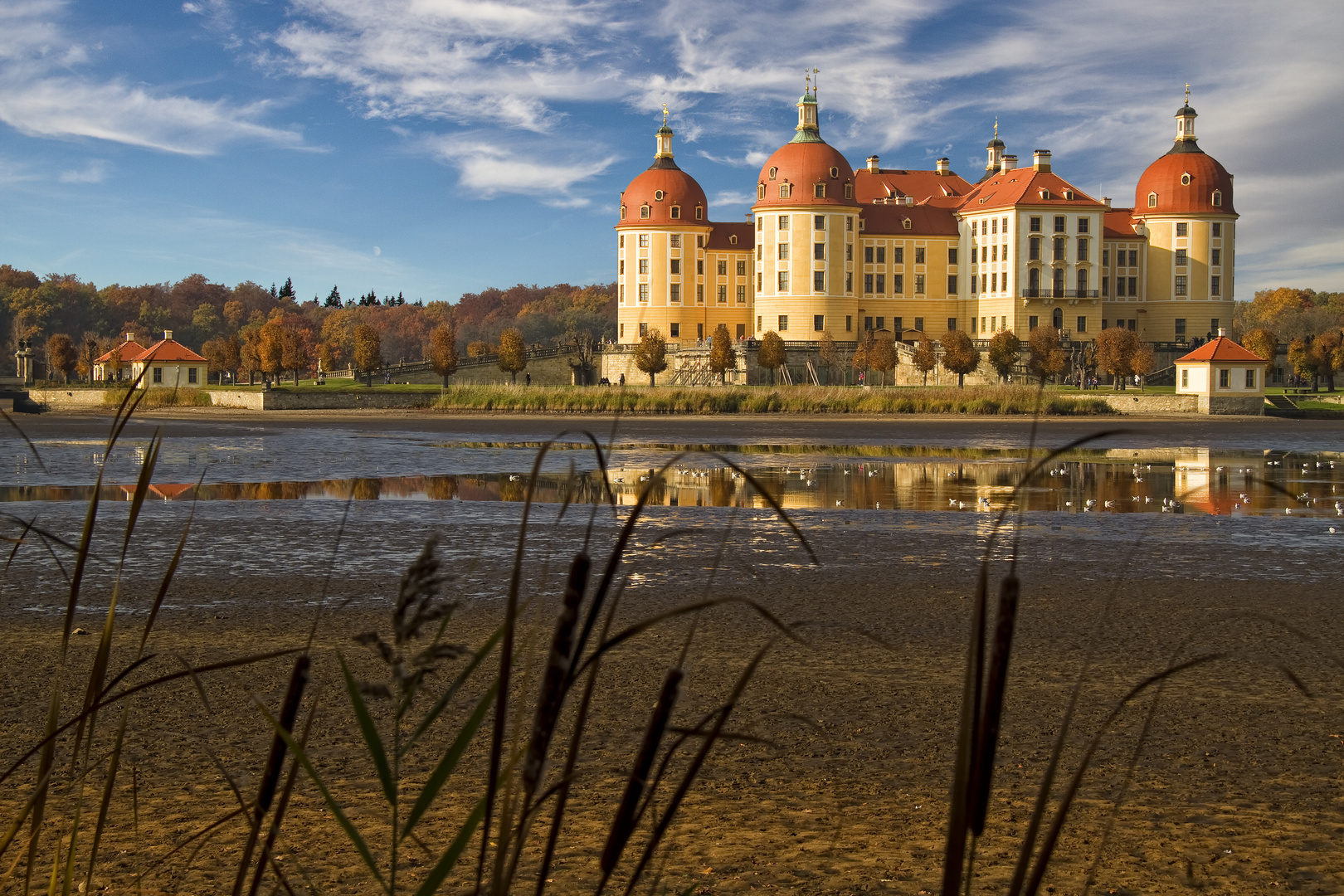 Moritzburg I