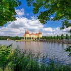 Moritzburg im Grünen