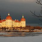 Moritzburg im letzten Licht