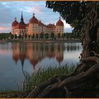 Moritzburg im Mai