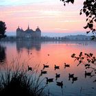 Moritzburg im Morgenrot