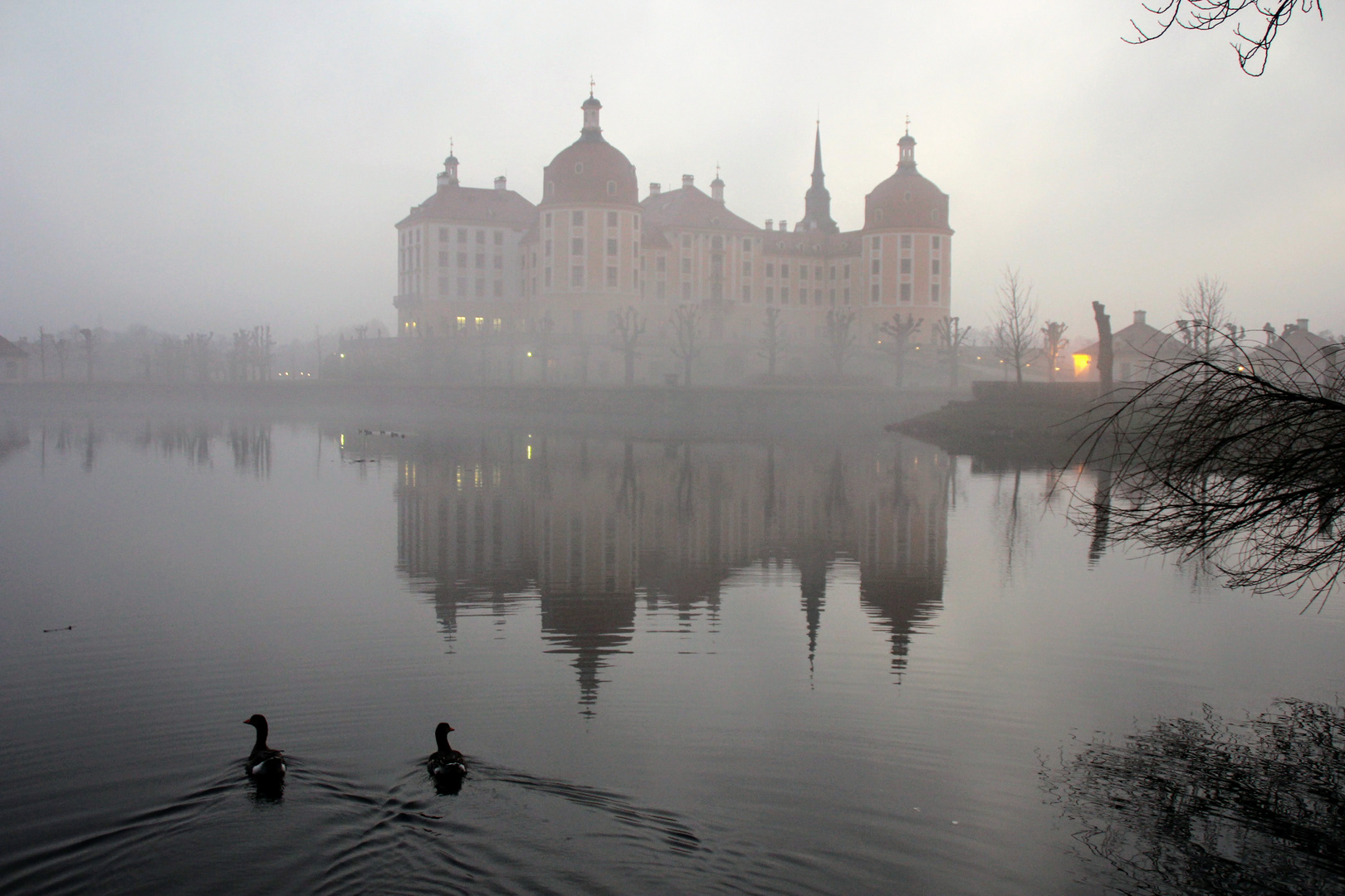 Moritzburg im Nebel