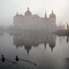 Moritzburg im Nebel