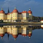 Moritzburg im November