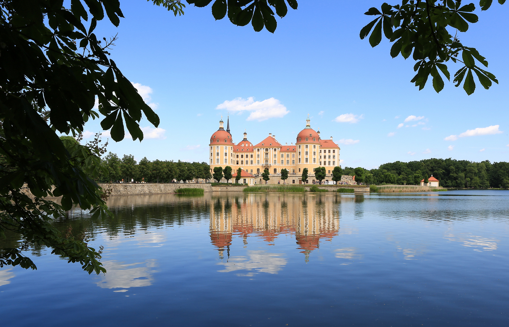 Moritzburg im Spiegel