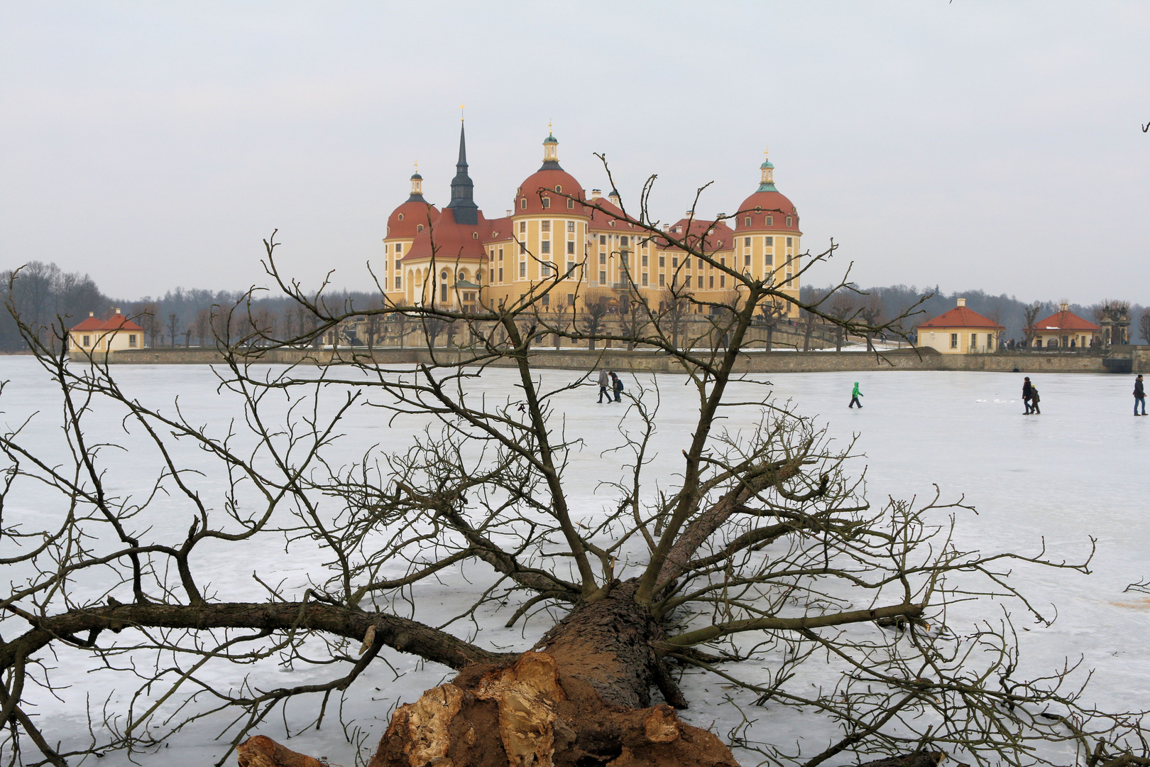 Moritzburg im Winter