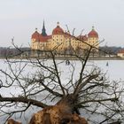 Moritzburg im Winter