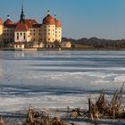 Moritzburg im Winter 