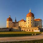 Moritzburg im winterlichen Licht...