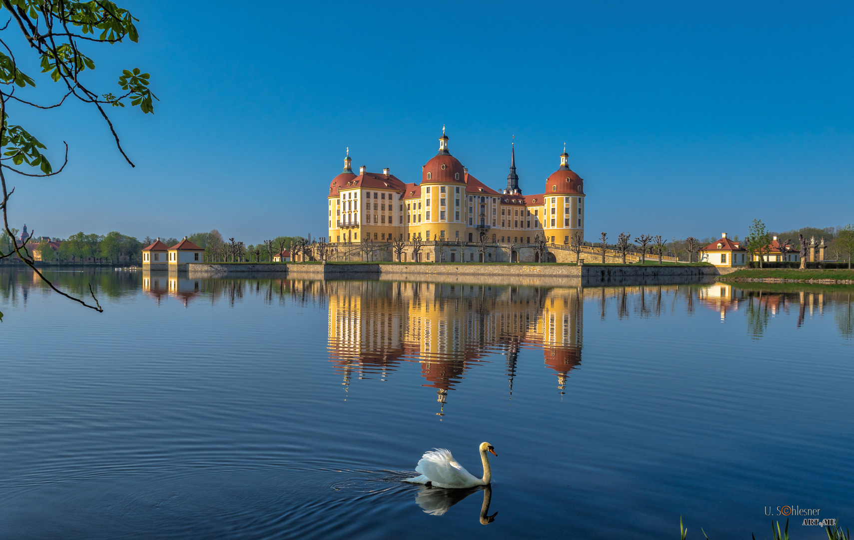 Moritzburg IV