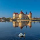 Moritzburg IV