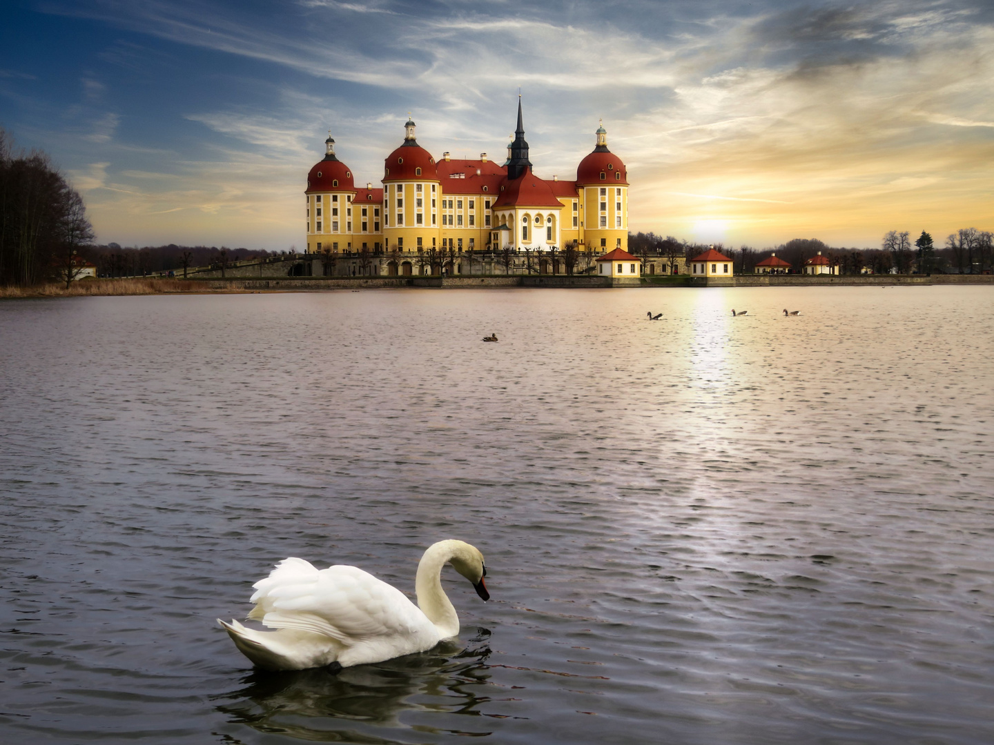 Moritzburg mit Schwan