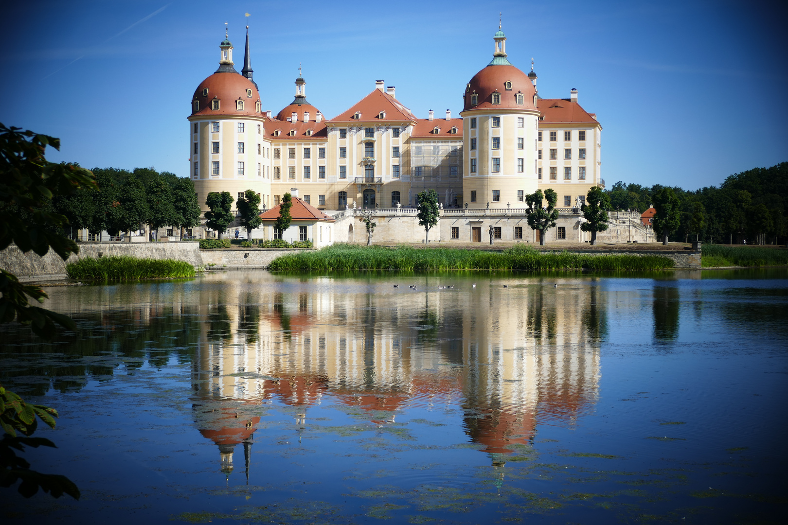 Moritzburg x 2