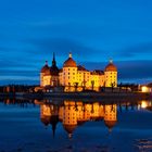 Moritzburg zur blauen Stunde