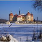 Moritzburg8