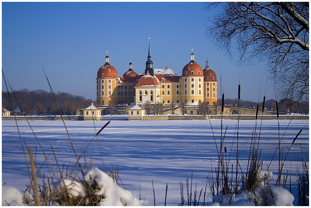 Moritzburg8