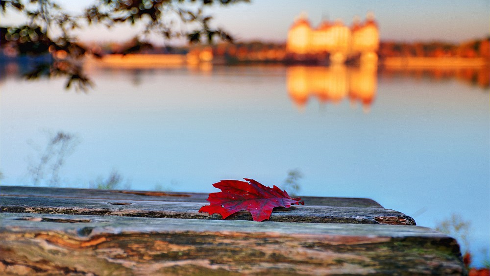 Moritzburger Herbst