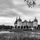 Moritzburger Impressionen mit fast leerem Schlossteich