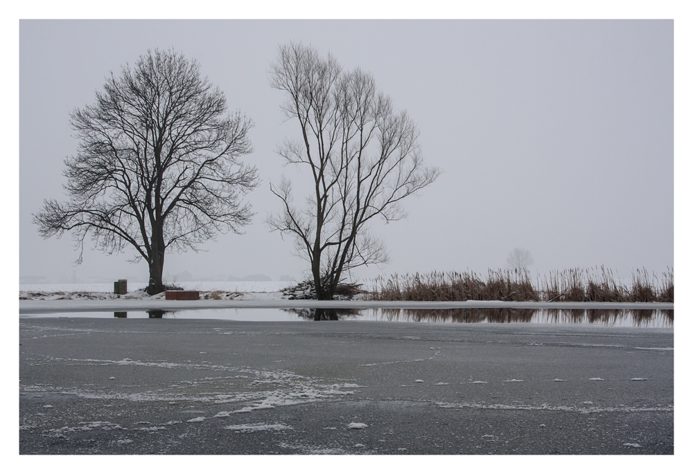 Moritzburger Teichlandschaft