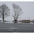 Moritzburger Teichlandschaft