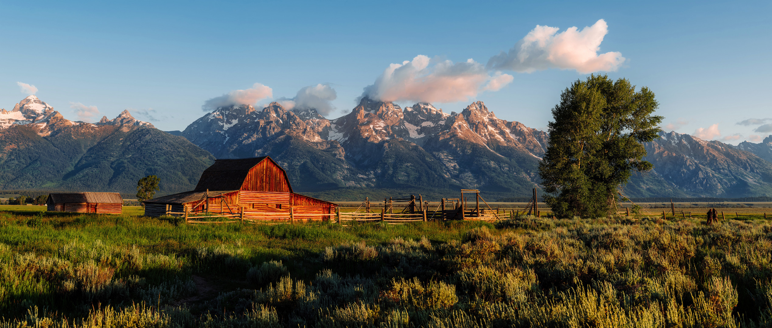 Mormon Row