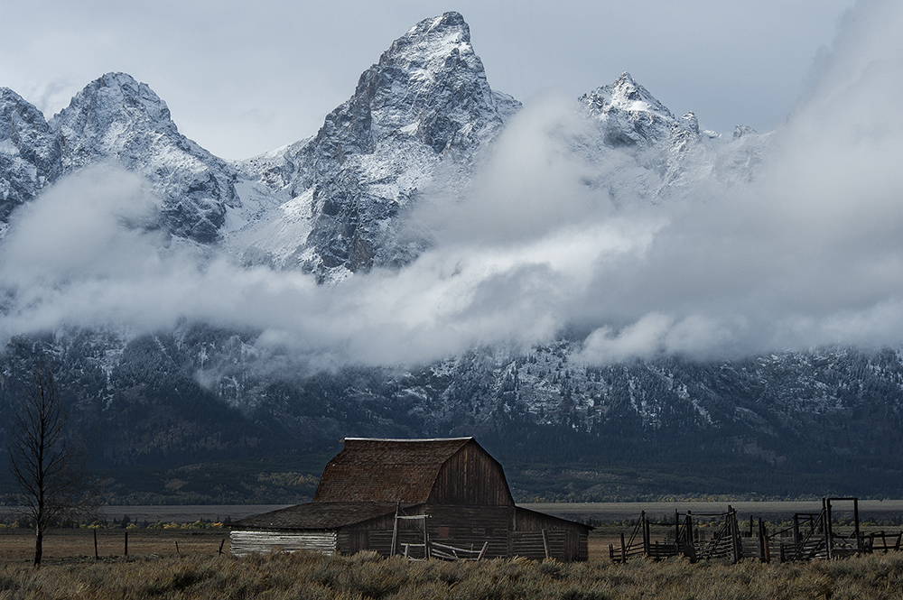 Mormon Row, Grand Tetons