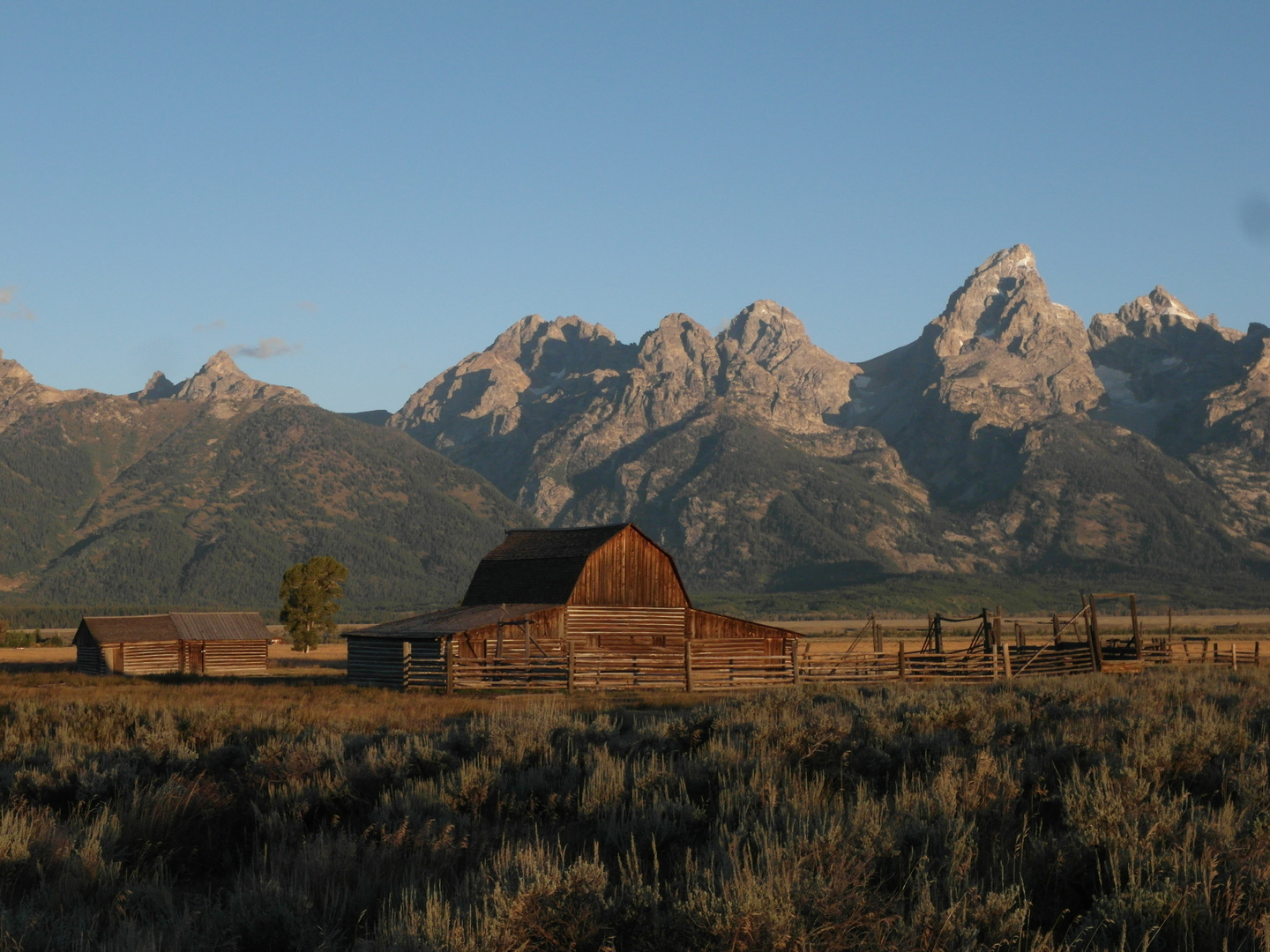 Mormon Row im Sonnenaufgang