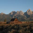 Mormon Row im Sonnenaufgang