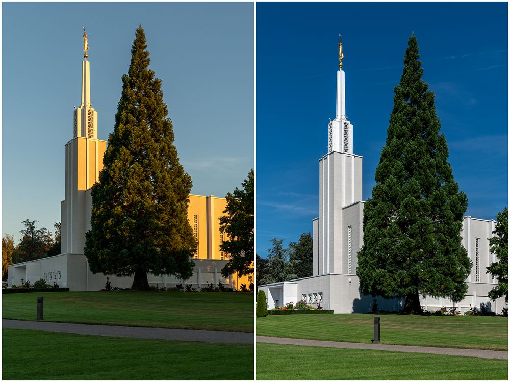 mormonisch