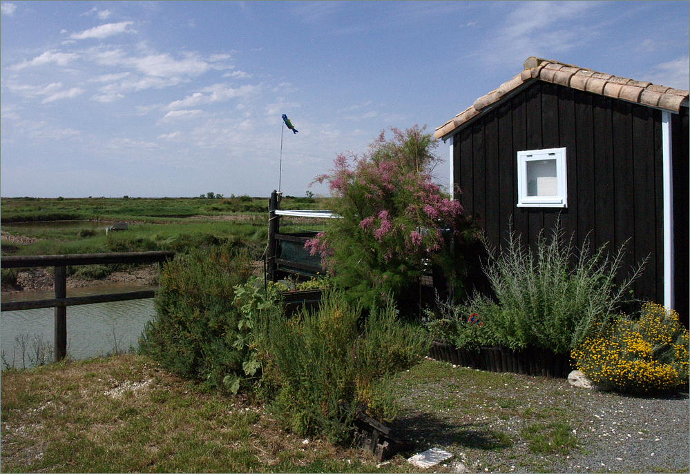 Mornac-sur-Seudre - Près du port, dans le marais - Nahe dem Hafen in der Meersaline