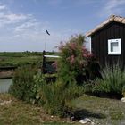 Mornac-sur-Seudre - Près du port, dans le marais - Nahe dem Hafen in der Meersaline