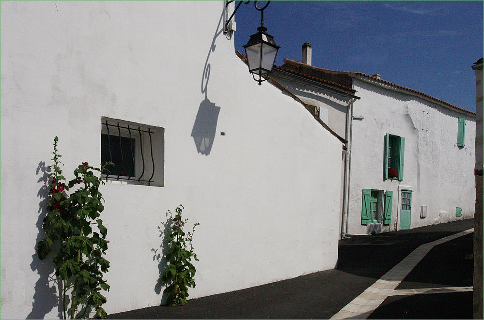 Mornac-sur-Seudre - Une ruelle et ses roses trémières qui semblent pousser dans le goudron.