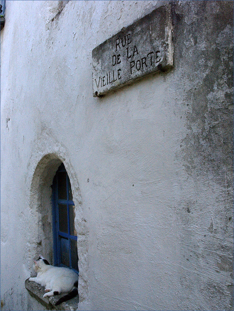 Mornac-sur-Seudre - Une ruelle et son gardien – die Gasse zum alten Tor und ihr Wächter