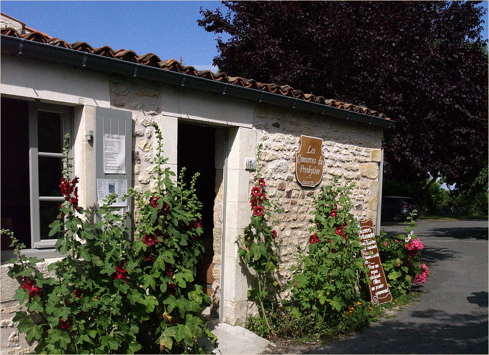 Mornac-sur-Seudre - Vieilles pierres et roses trémières pour ce magasin de spécialités