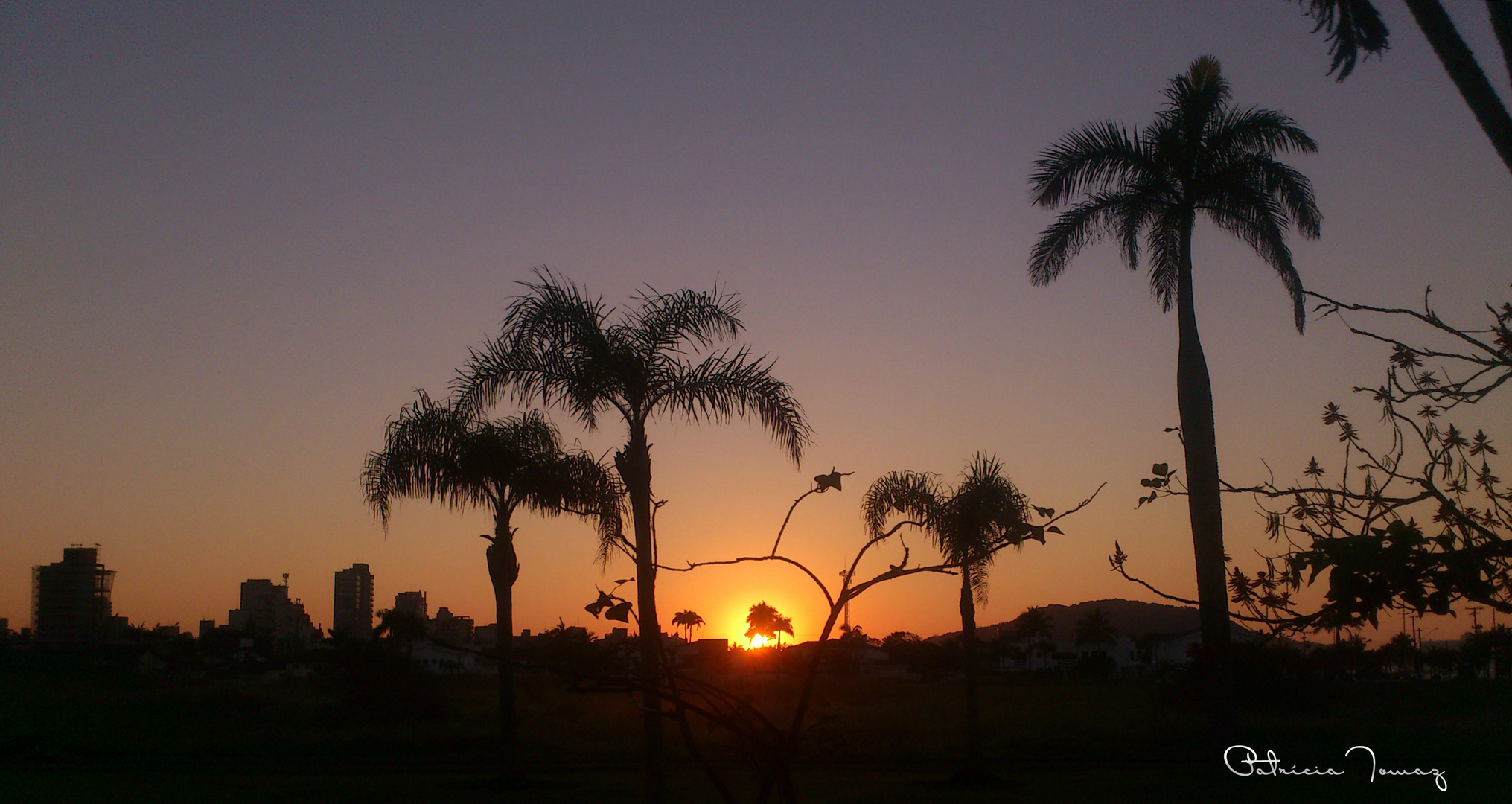 mornig guaru