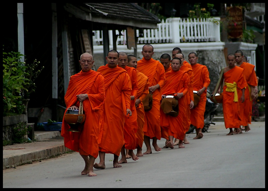 Morning Alms III, Luang Prabang, Laos