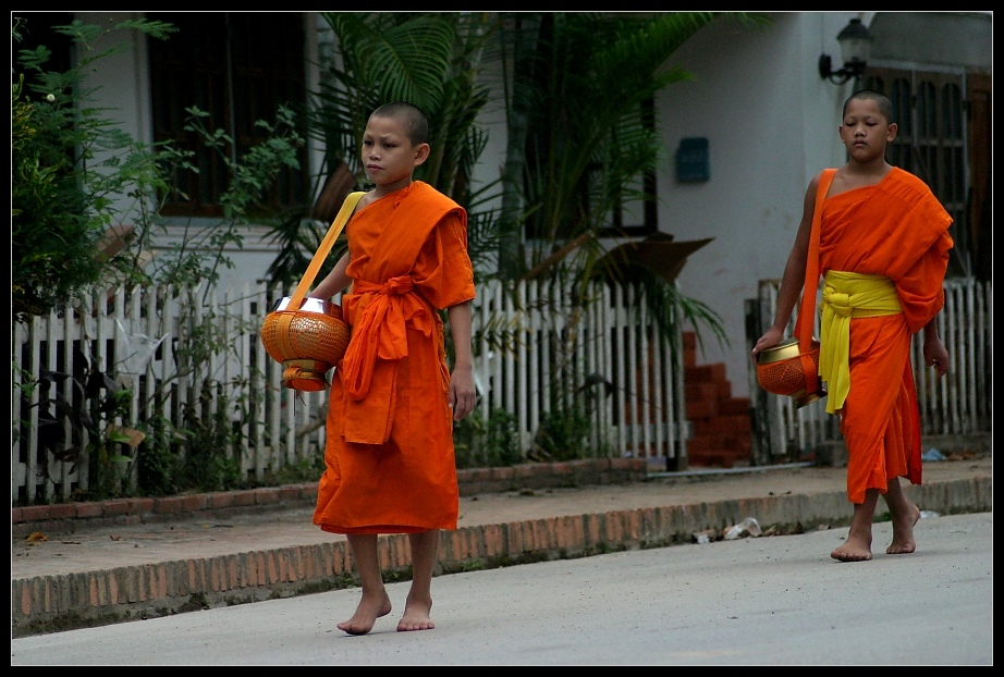 Morning Alms IV, Luang Prabang, Laos