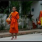 Morning Alms IV, Luang Prabang, Laos