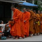 Morning Alms, Luang Prabang, Laos