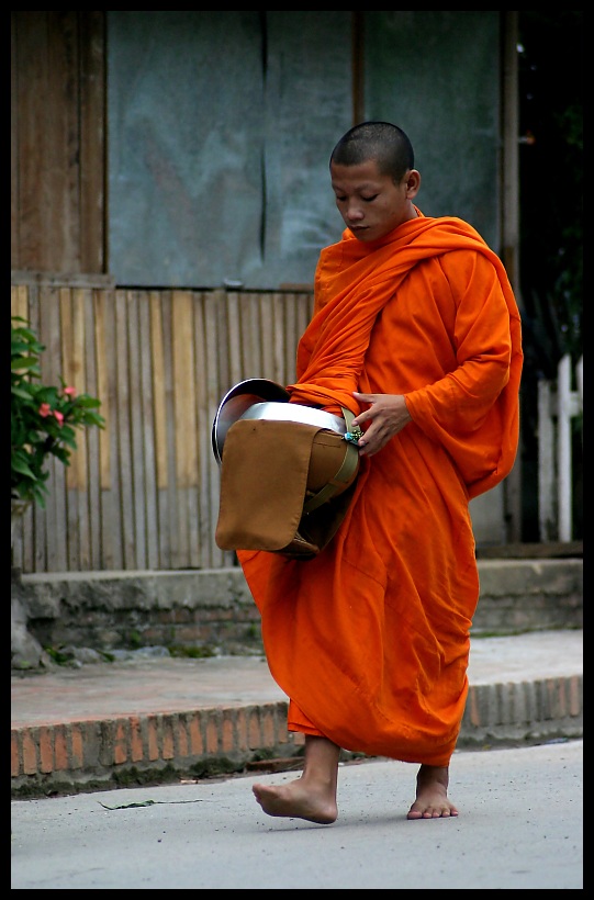 Morning Alms, Luang Prabang, Laos