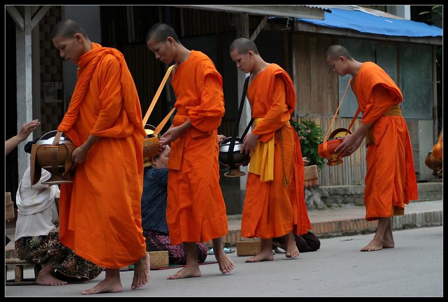 Morning Alms V, Luang Prabang, Laos