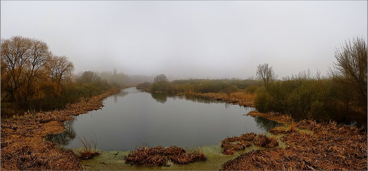 Morning. An old channel. Spring