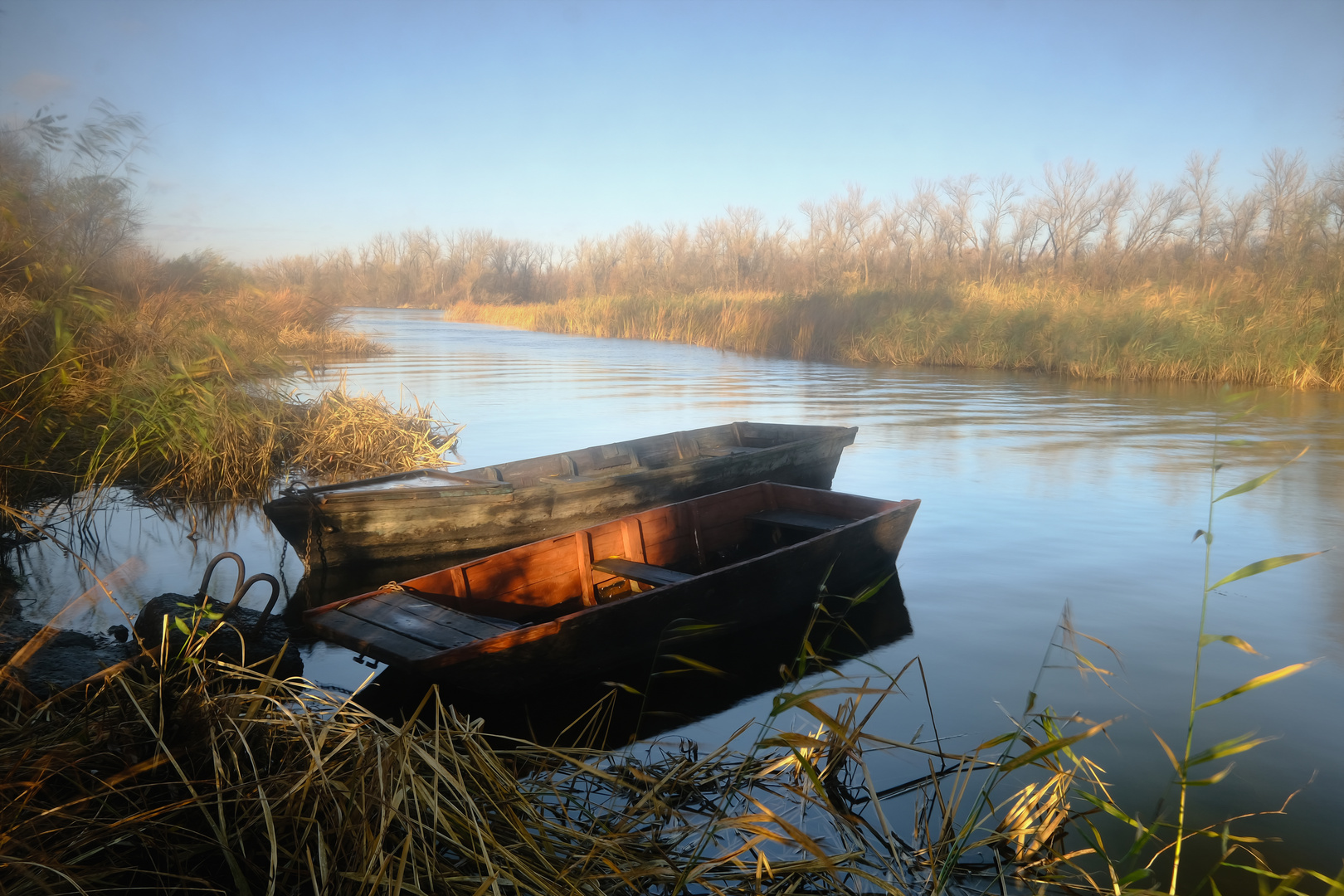 Morning around the pond