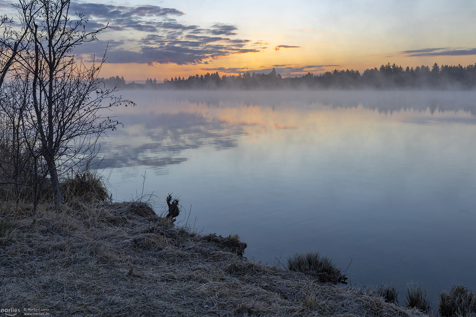 morning at lake