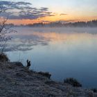 morning at lake