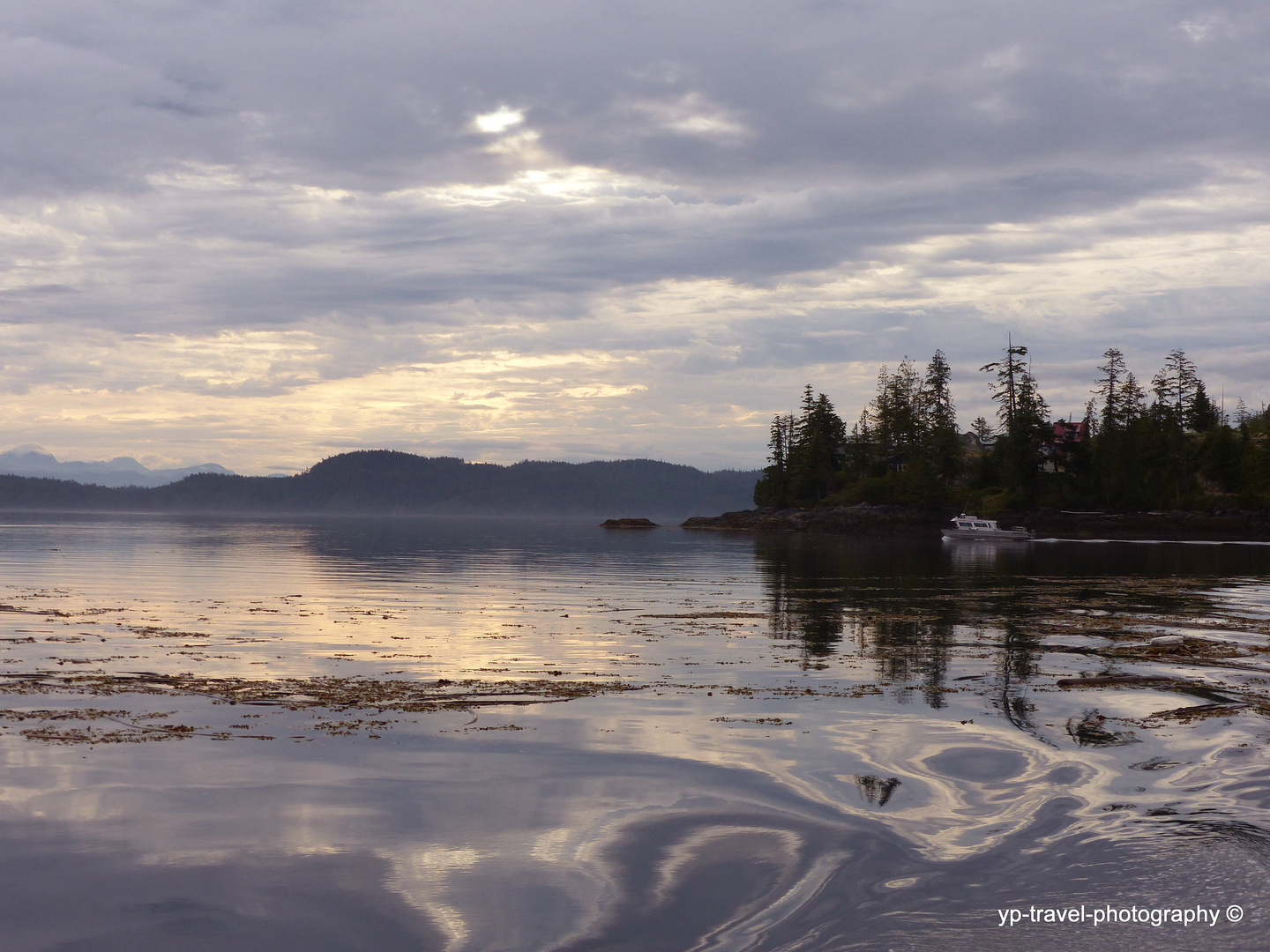 Morning at Telegraph Cove