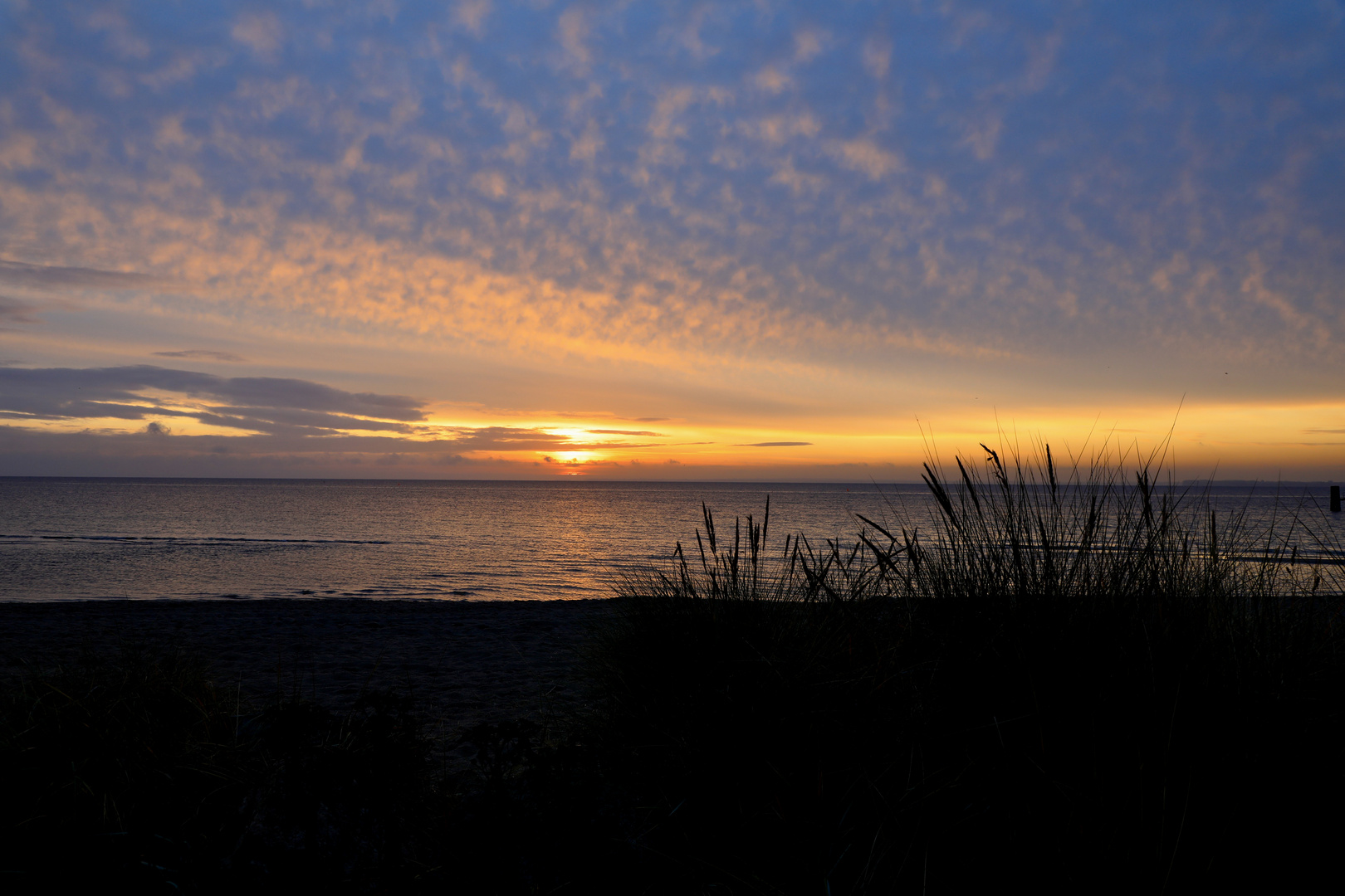 morning at the beach