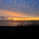 morning at the beach