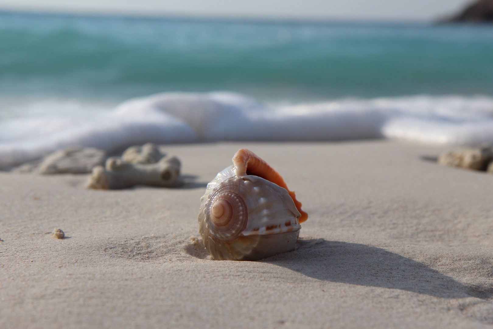 morning at the beach